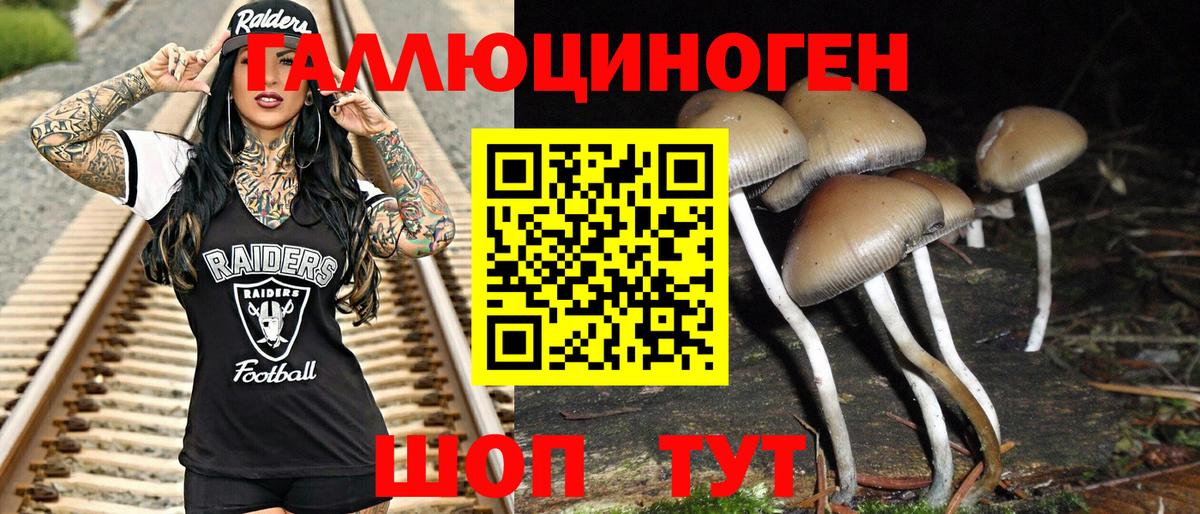 где найти   Вход с VPN  Саранск  Псилоцибиновые грибы ЛСД 