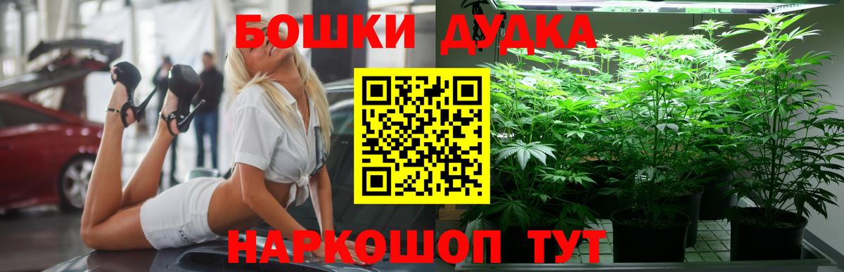 Шишки марихуана конопля Саранск